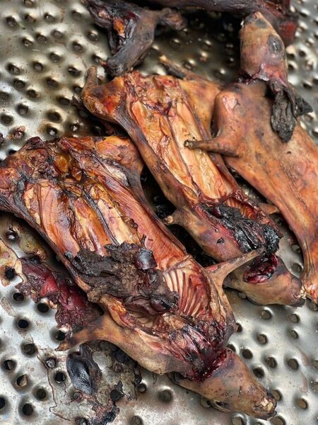 Saveur Fumée de Lapin