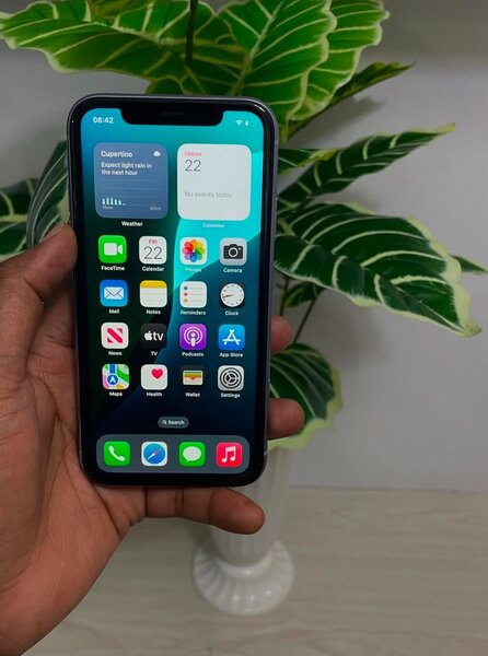 Clean iPhone 11