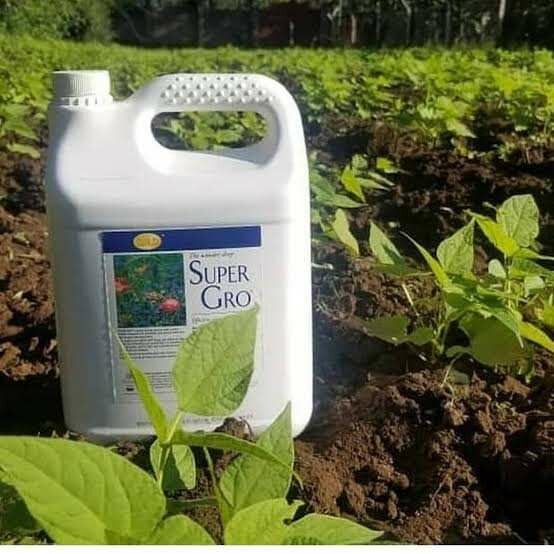 Super Gro Plant Fertilizer