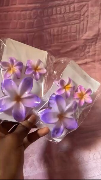 Barrettes fleurs tropicales