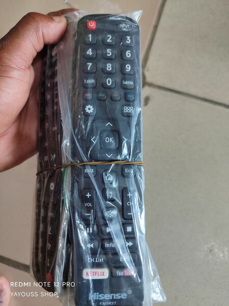 Universal TV Remote Hisense