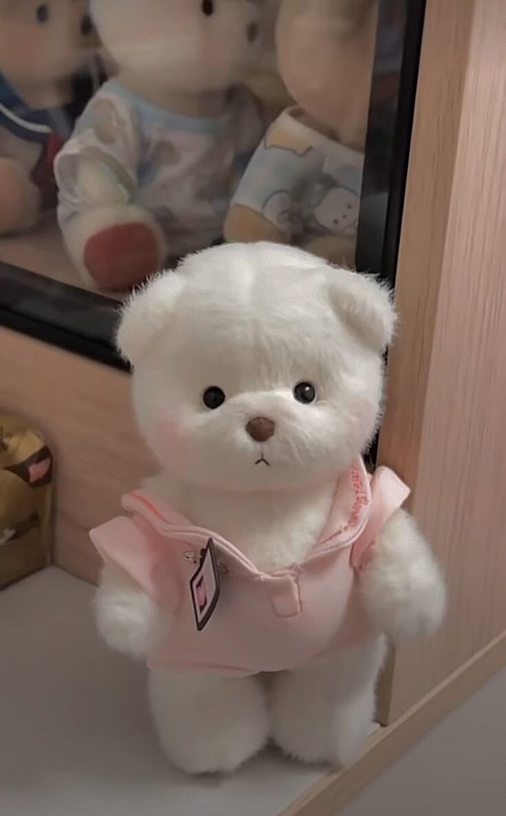 Teddy bear