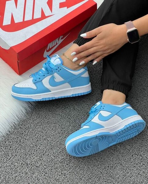 Air Nike Dunk Low Bleu