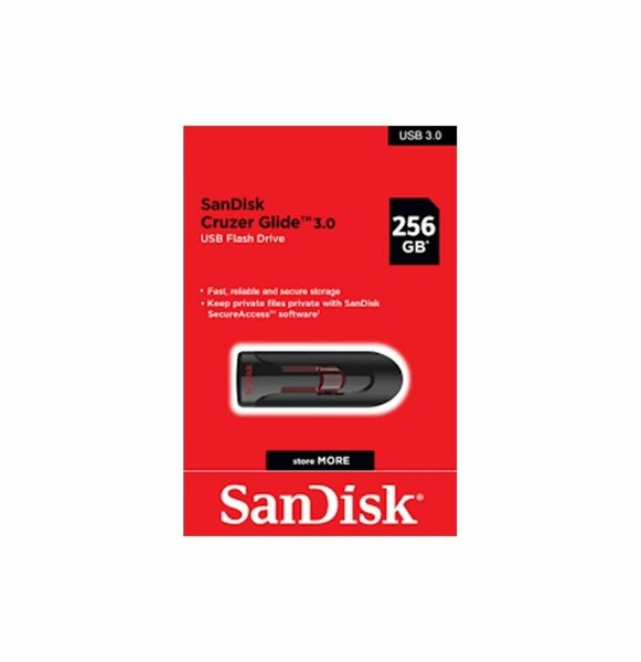 SanDisk Clé USB 256 Go