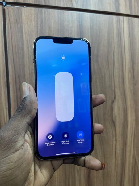 iPhone 13 PRO MAX 256g