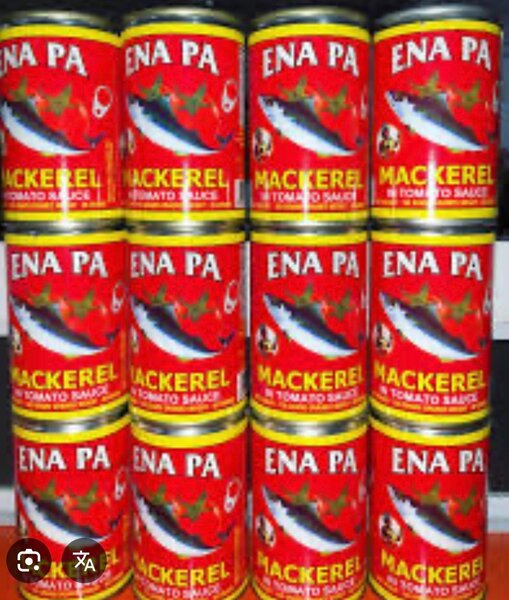 Ena pa Mackerel big size