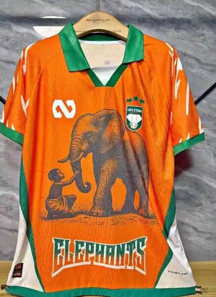 Maillot Côte d'Ivoire Éléphants