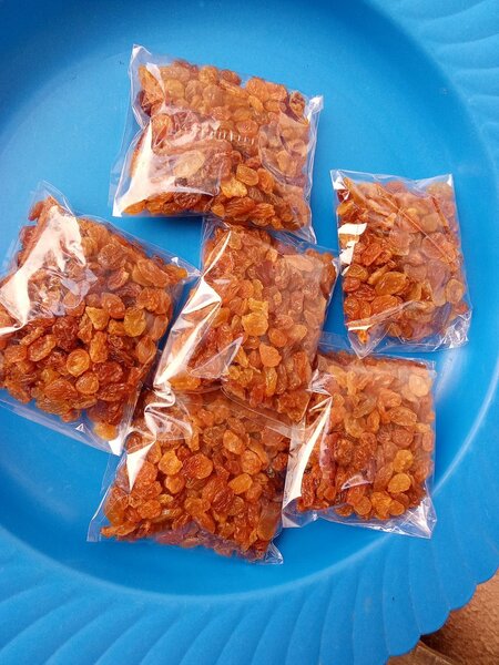 Raisins Secs en Sachets