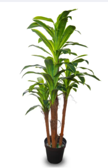 Imported artificial Dracaena Plant with black Planter