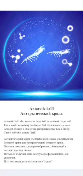 MOREFUTURE Antarctic Krill Oil Softgel