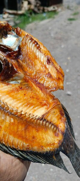 Semi dry moto moya fish, very tasty