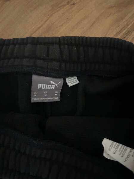 Puma