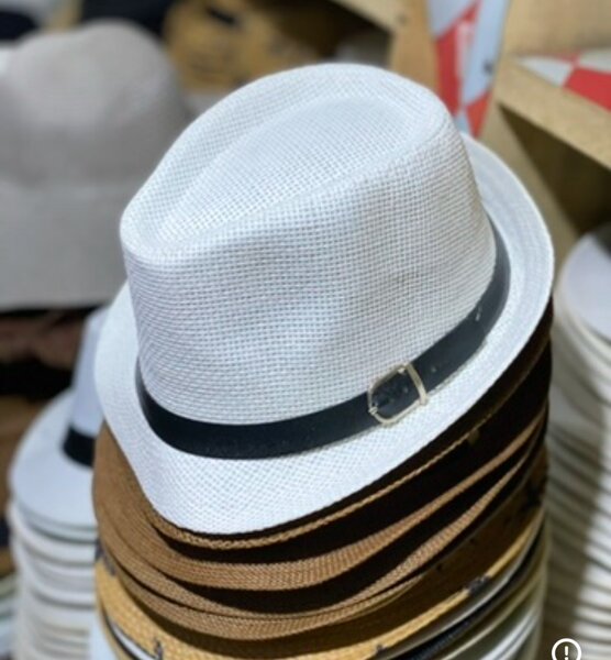 Chapeau Panama mixte