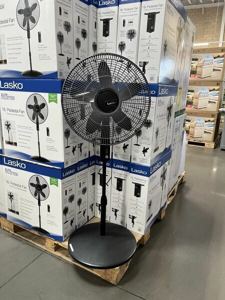 Electric Fan