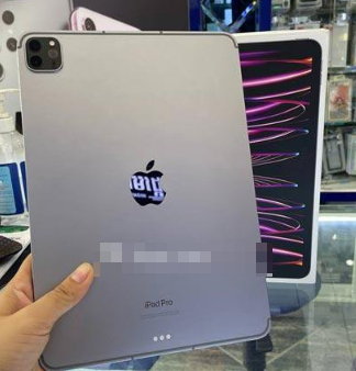 Ipad Pro M2 2022 Cellular 5G 11"