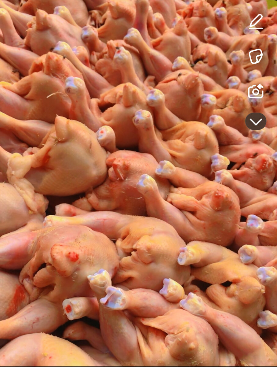 Le Délicieux poulet de tayson