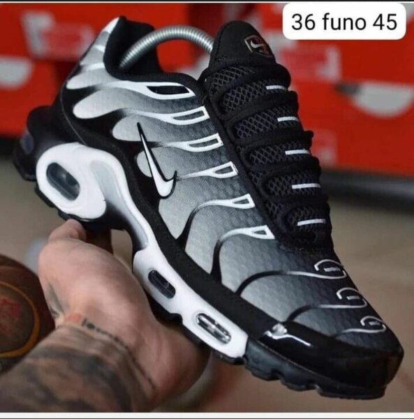 Paire de basket original