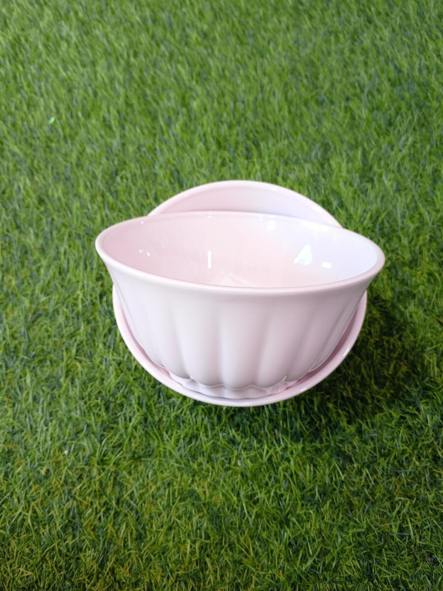 2 pieces ceramic bowl