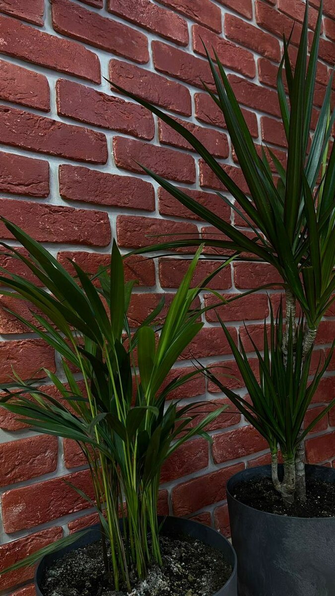 Декоративный кирпич