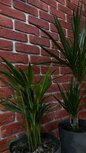 Декоративный кирпич