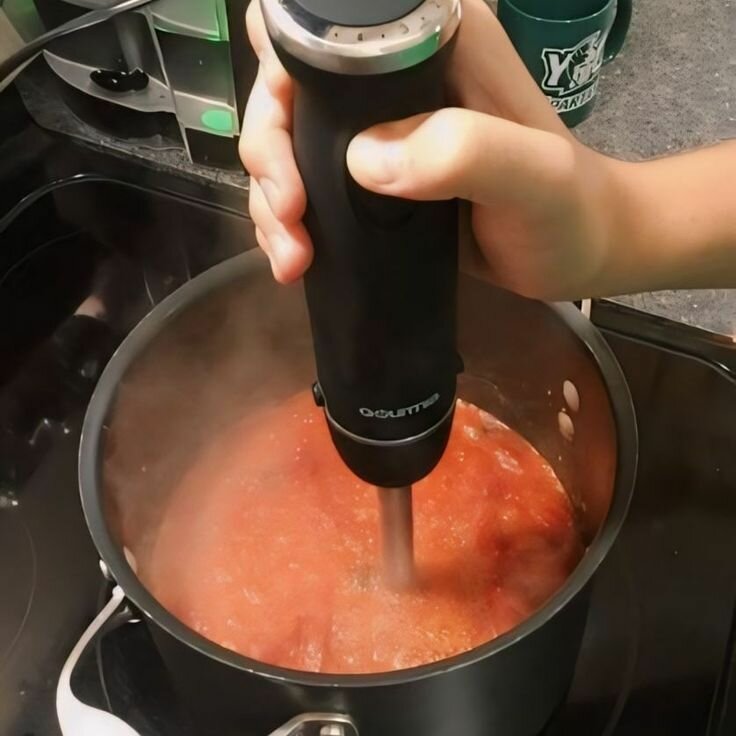 Mixeur Plongeant Puissant Sokany