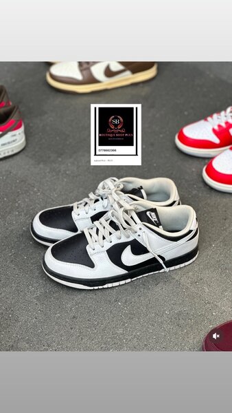 Basket nike sb authentique avec sa boîte