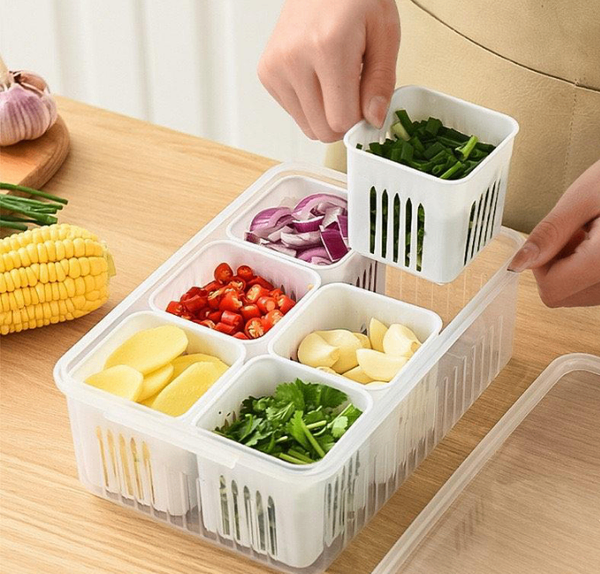 6 Grib Food Storage Container (DC Free)