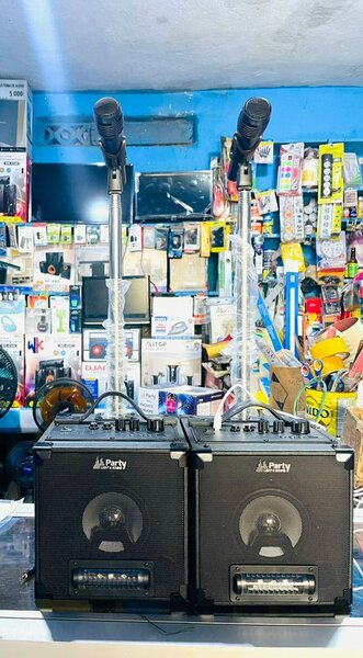 Set Karaoké Bluetooth avec Micros