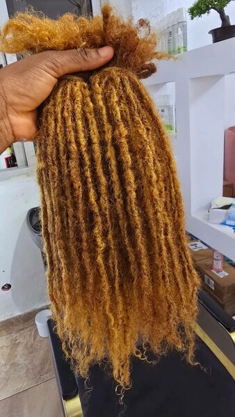 Extension de afrotysmé T12