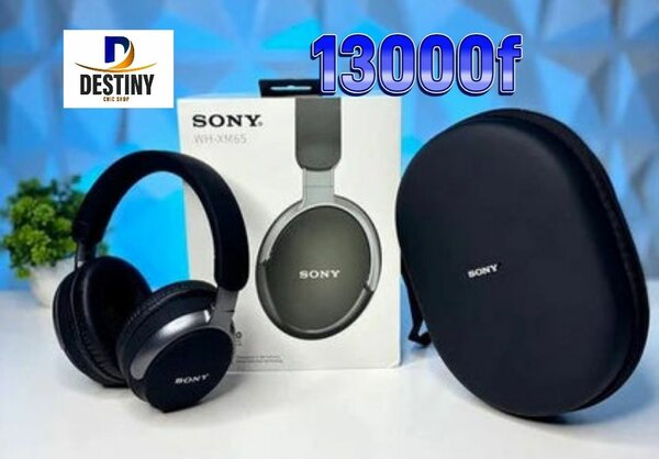 Sony Casque WH-XB865