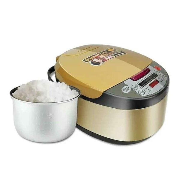 Cuiseur à riz multifonctionnel