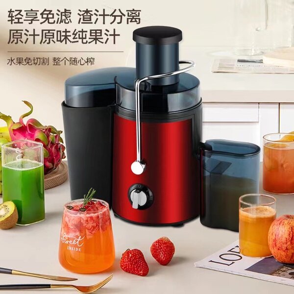 Electric Juicer