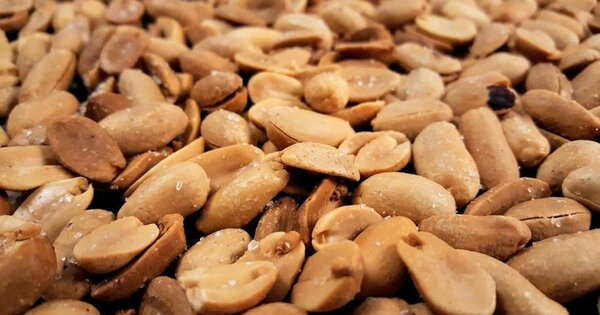 Cacahuètes grillées salées