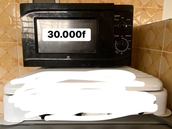 Micro-ondes compact électrique