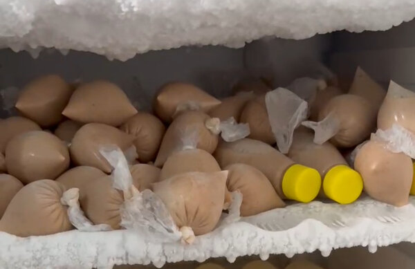 Yaourt fais maison naturel