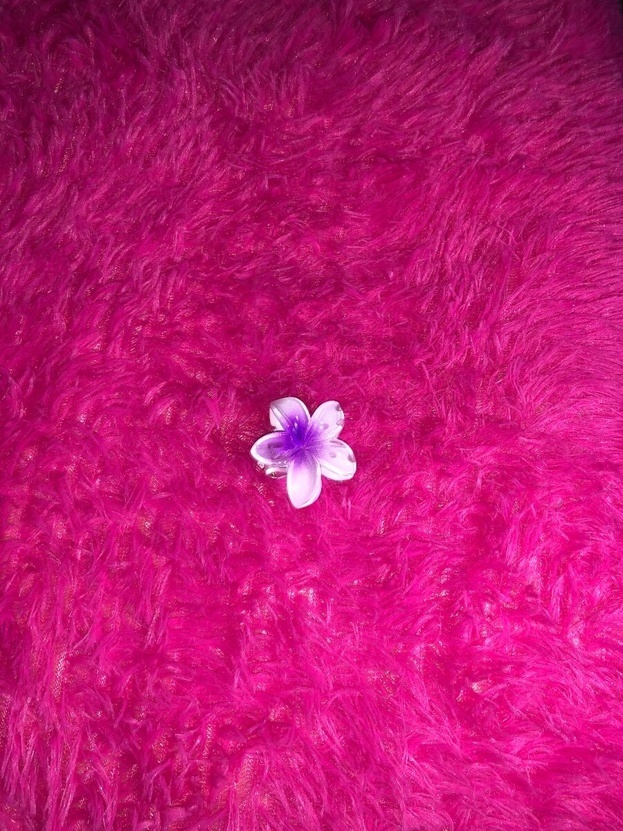 Épingles à cheveux fleurs colorées