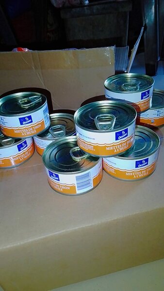 Boîte de conserve de thon