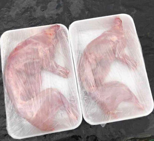 Viande de Lapin Fraîche