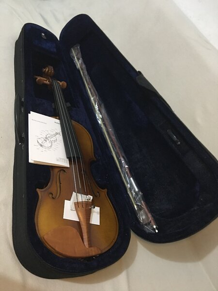 Violon acoustique classique