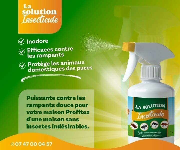 Pulvo Insecticide Puissant