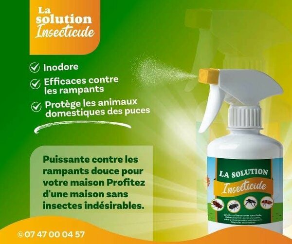 Pulvo Insecticide Puissant