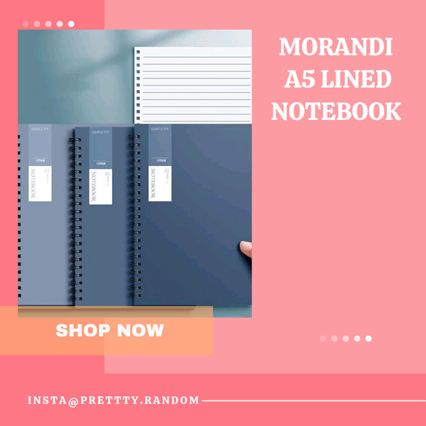 Morandi Notebook