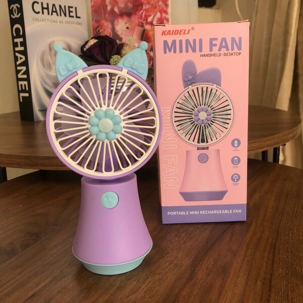 Mini fan
