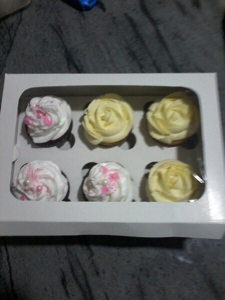 Bento cakes and cupcakes