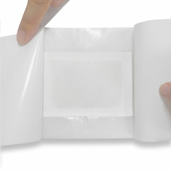 02 Patchs Détox Pieds Naturels