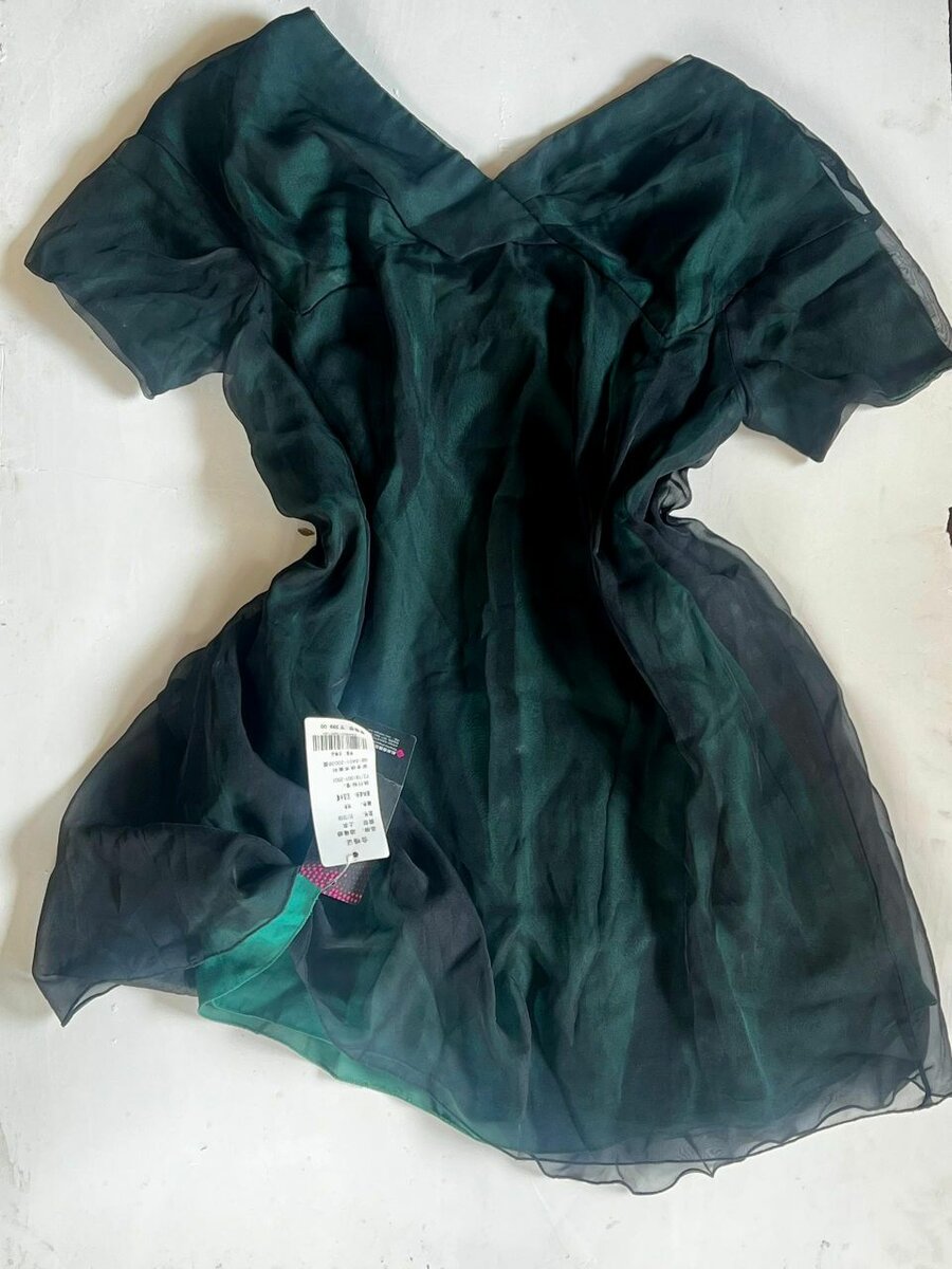 Elegant Sheer Green Blouse