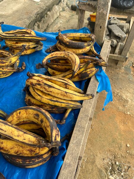 Bananes plantains mûres fraîches