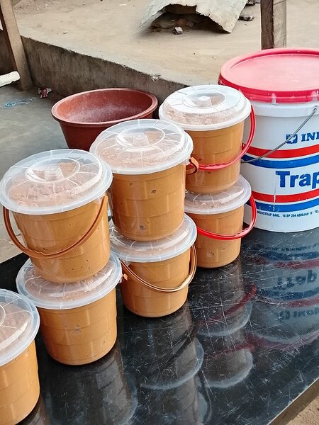 Patte d'arachide Bio hallale