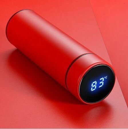 Thermometer vacuum flask