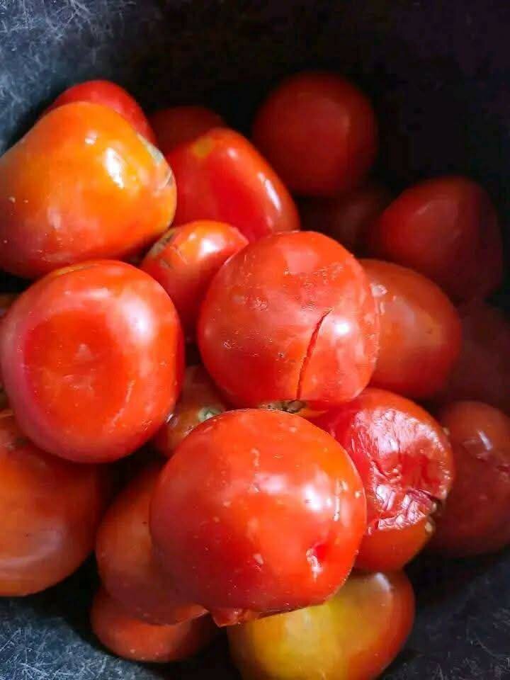 Kit kedjenou Poulet Frais